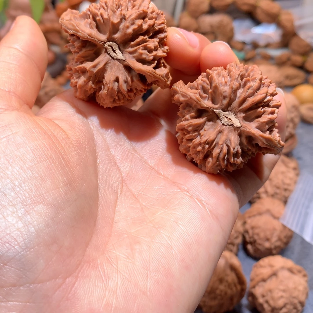 不***了把件文玩核桃满天星