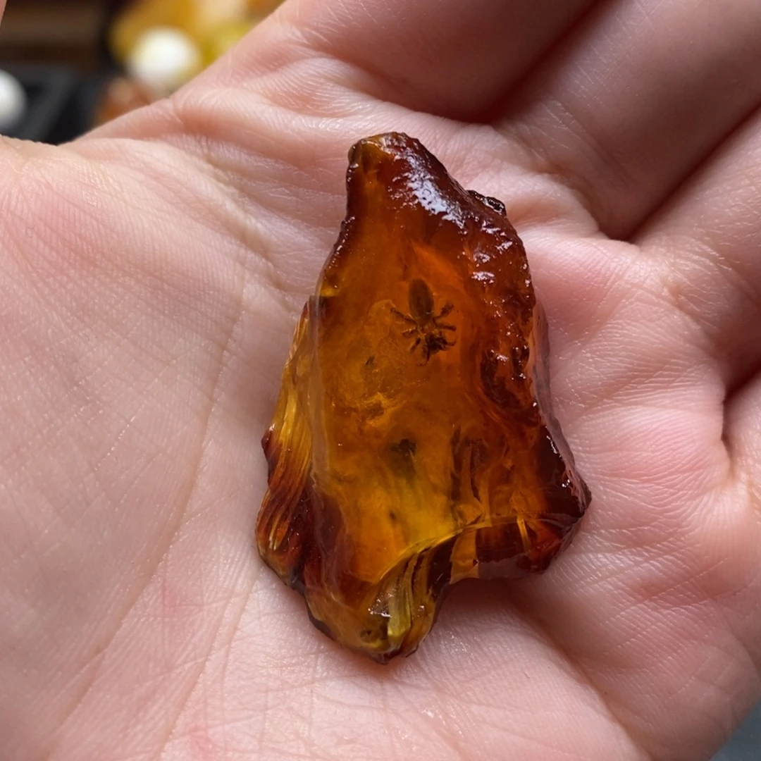 定制琥珀未镶嵌蜜蜡