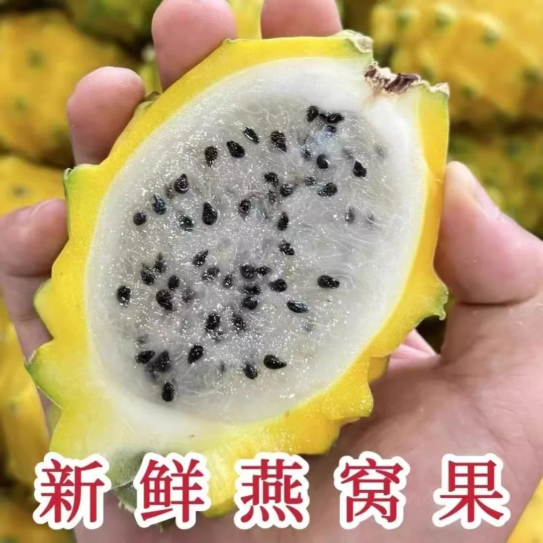 【秋天妈妈】坏果包赔海南燕窝果麒麟果孕妇水果现摘现发