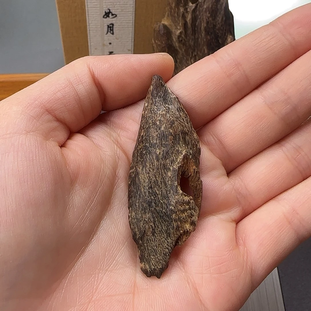 童***稚沉香沉香碎屑海南琼脂沉水块料2g