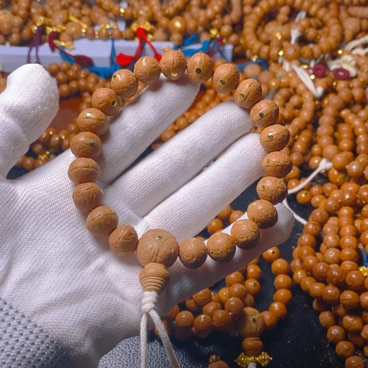 学*尼泊尔凤眼菩提树籽