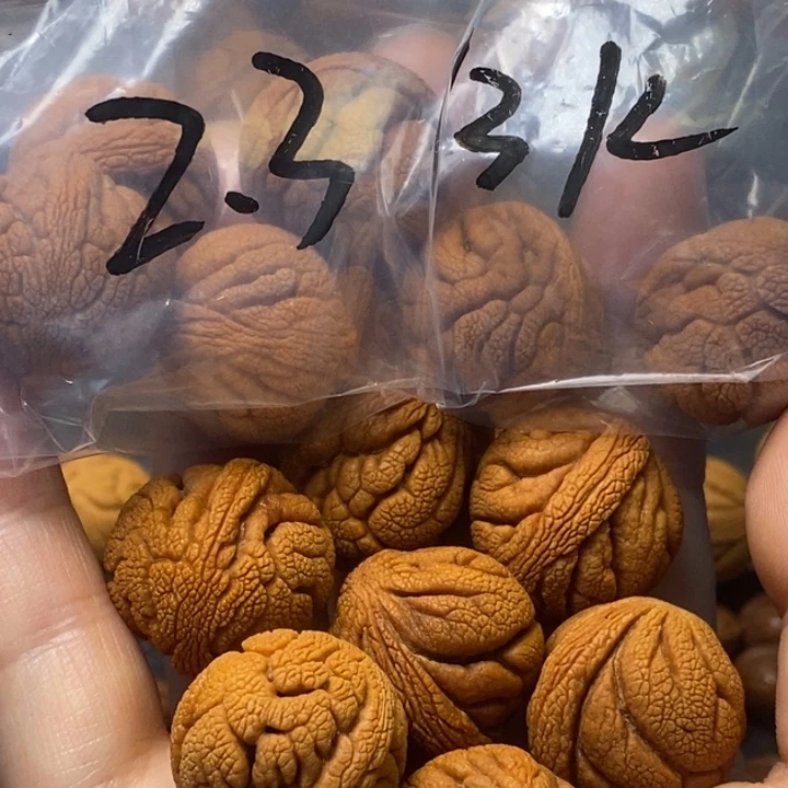 木质类秦岭山野生桃核