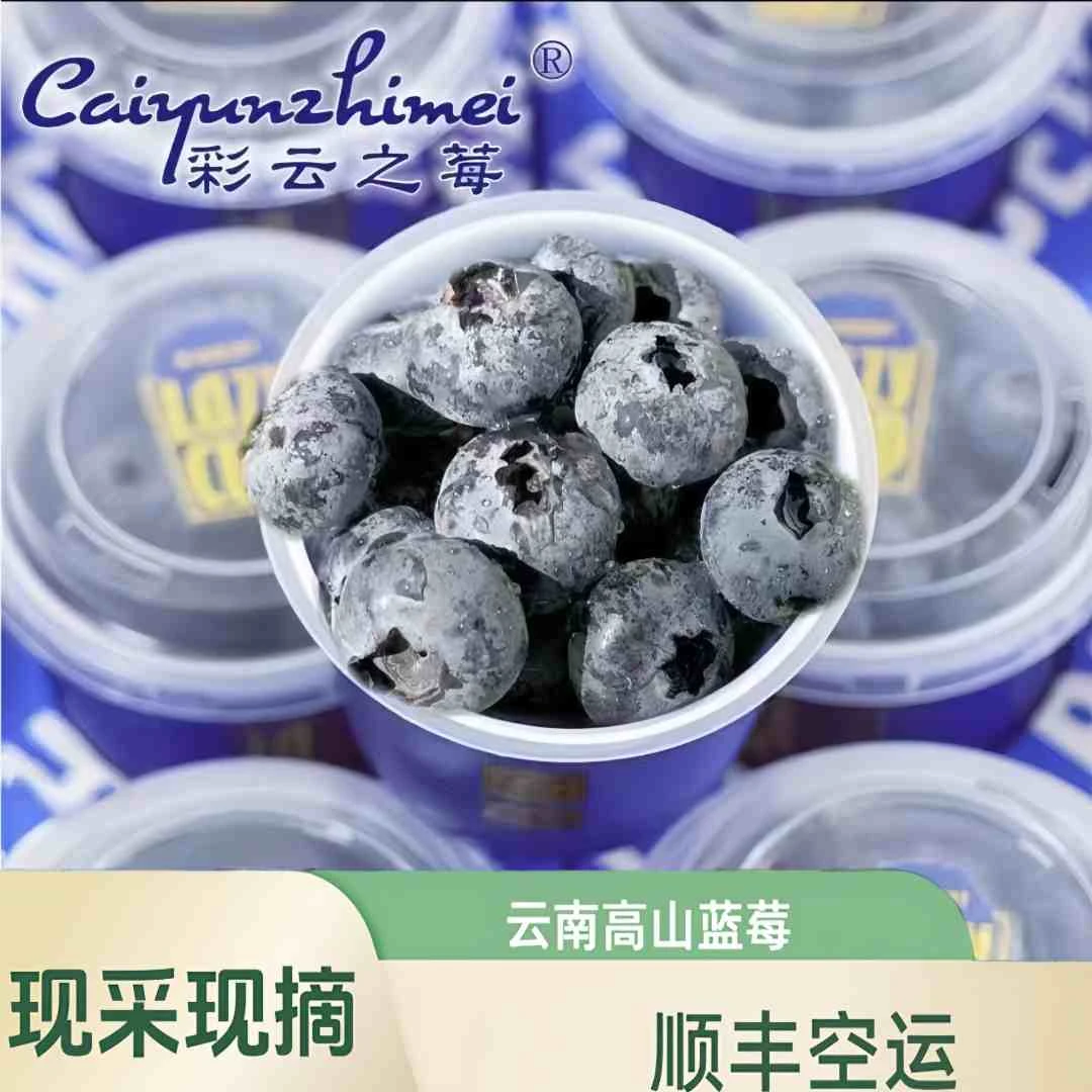 【十件套宝宝果】A级宝宝果云南露天高山生态花香蓝莓水果小蓝杯