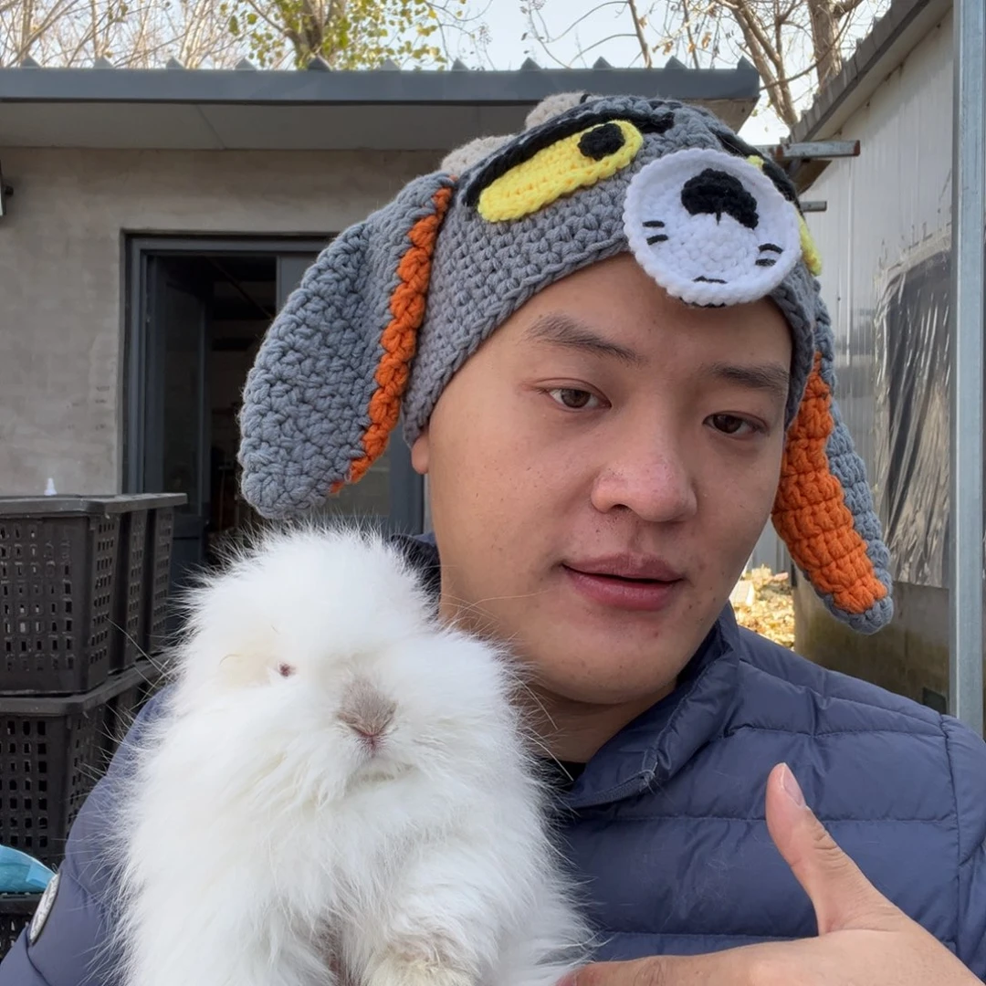 宠物兔英系安哥拉兔