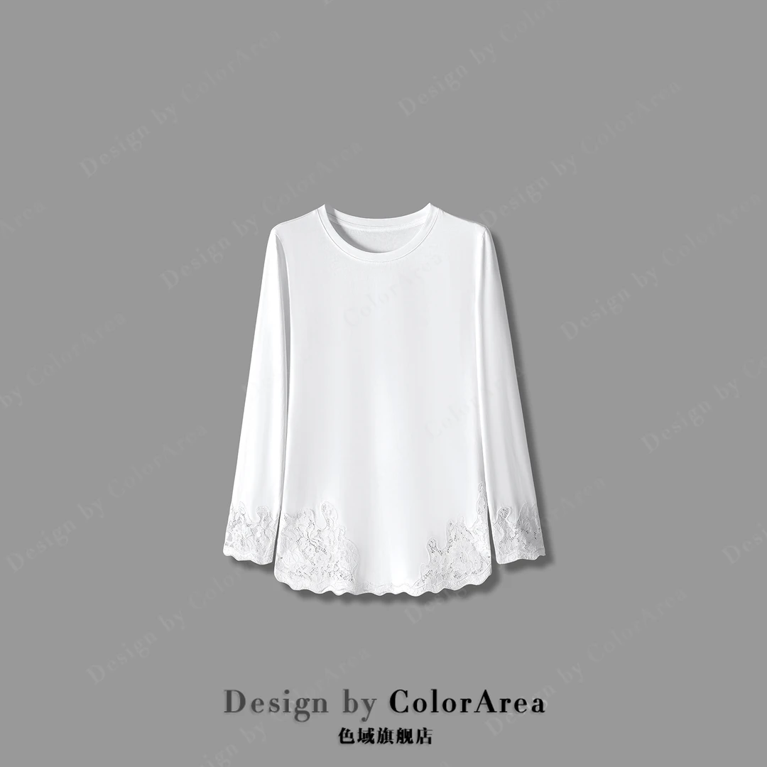 ColorArea/色域春季新款设计感重工拼接圆领套头长袖T恤刺绣上衣