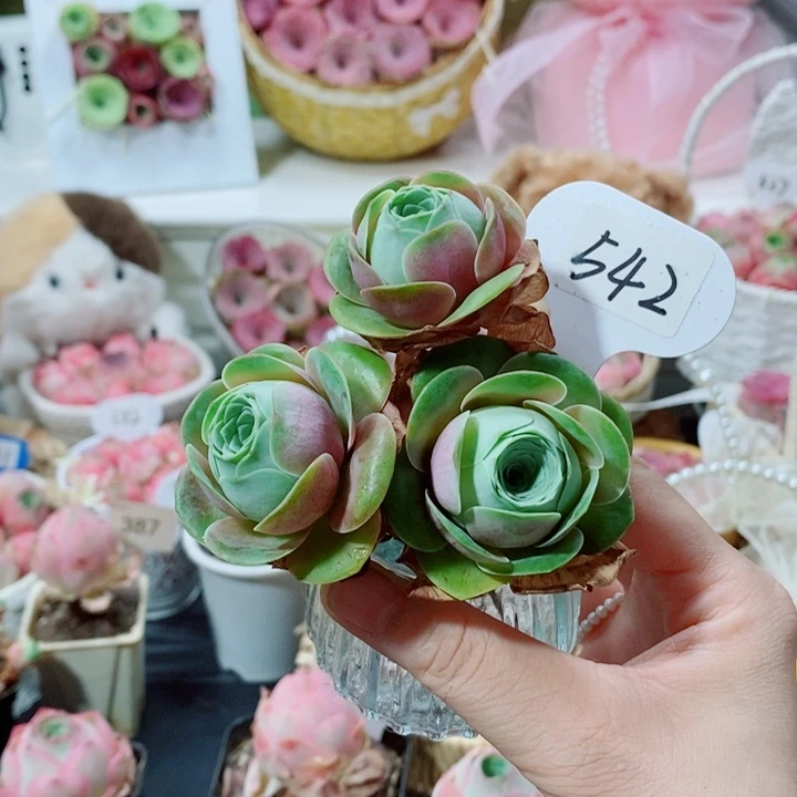 542血桃三头包子群。 带瓶子。