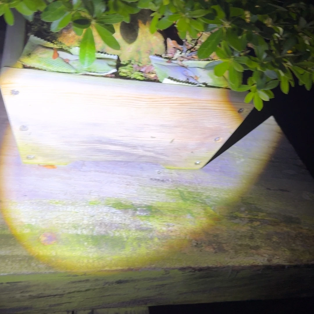 无花朵盆景肥料100小包包邮