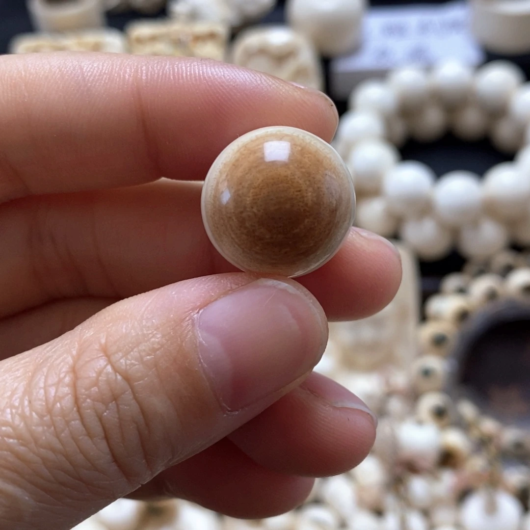 非金属无镶嵌保真猛犸配珠尺寸17.8