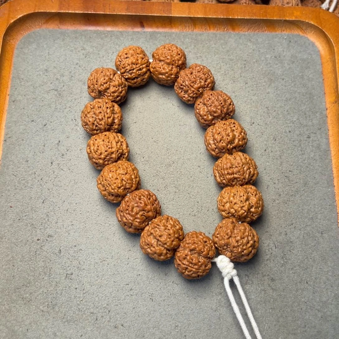 菩提33号金刚菩提梅花双龙21