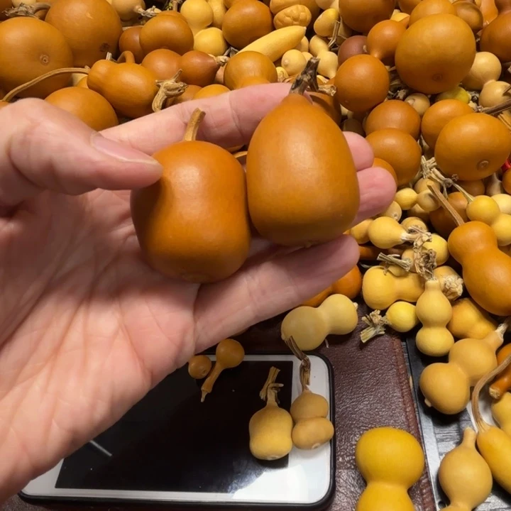 乐**咪乐宝妈咪的两把胖墩葫芦