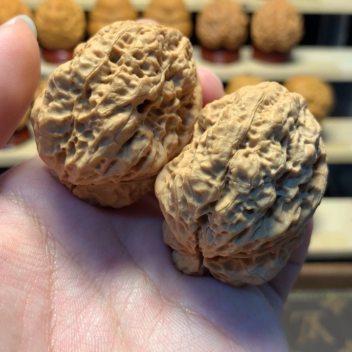 文玩核桃把件44龙脊