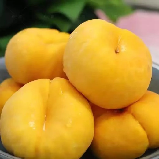 牙姐精选黄金蟠桃