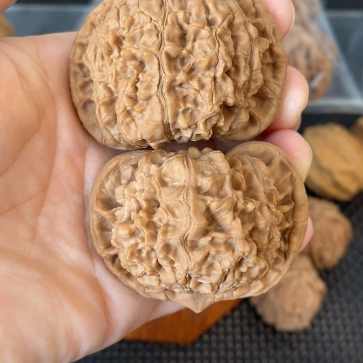 文玩核桃麻核桃52大官