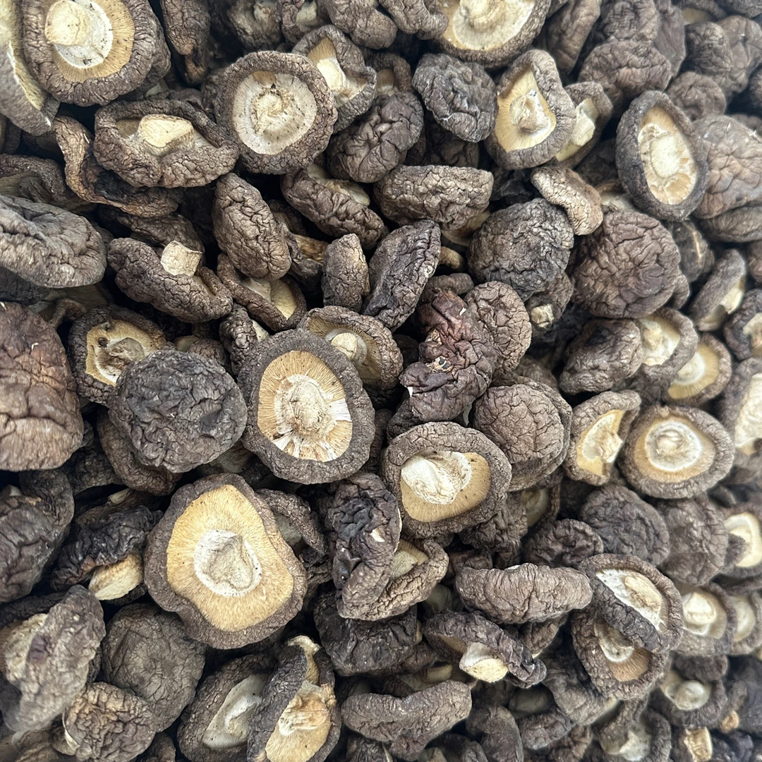 东北农家新香菇干无根肉厚干净品质好包邮