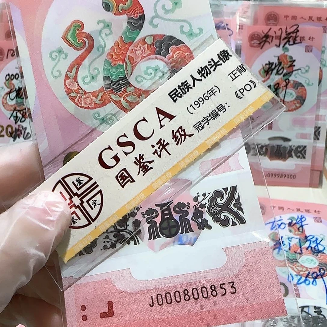 纸000800863。。。。。。。。小司令5龙珠