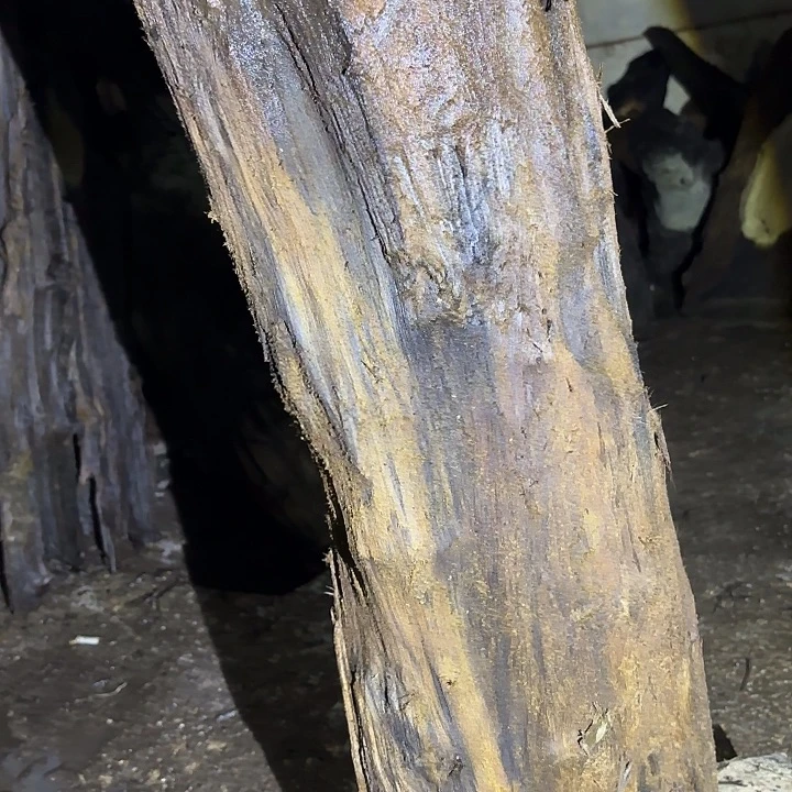 昐***柒乌木金丝楠摆件毛料