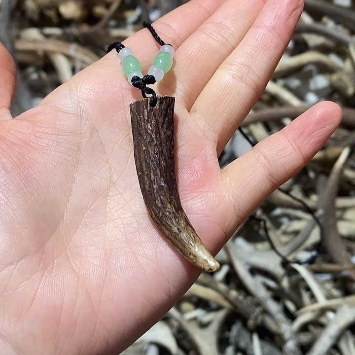 非金属鹿角鹿角鹿角