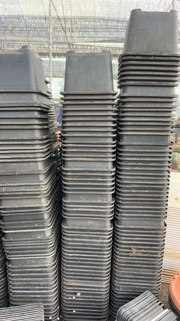 塑料旧花盆，180黑方盆17.5口径12高随机发，15个