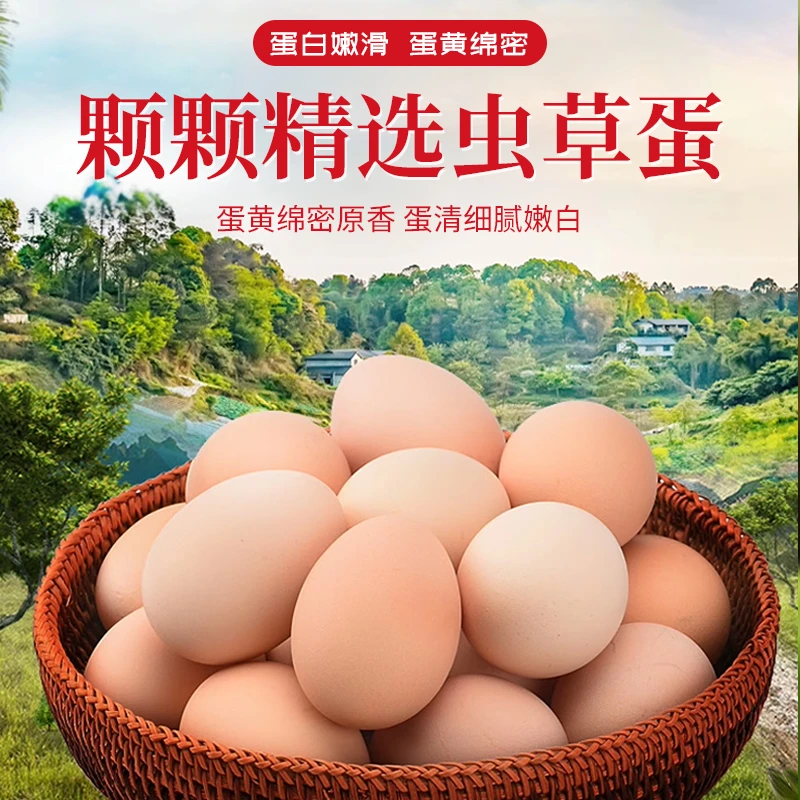 大山生态散养土鸡蛋