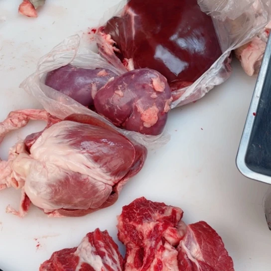 【闪购商品】冷冻保存30天包装河北省金*