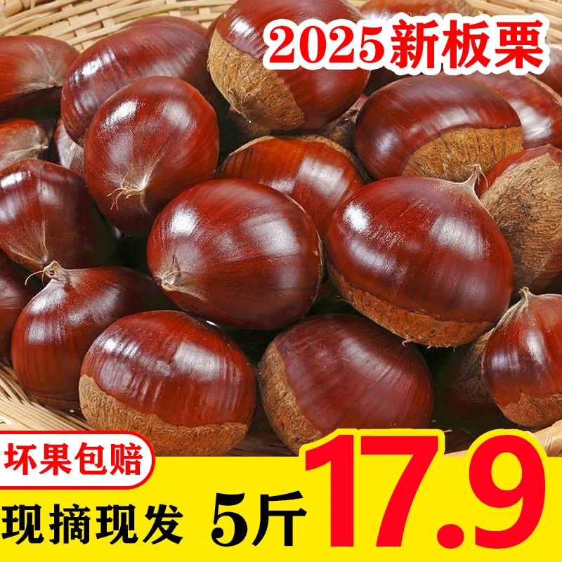 【产地直发】丹东板栗大果新鲜产地直播2025现摘甜糯天然天然难剥皮