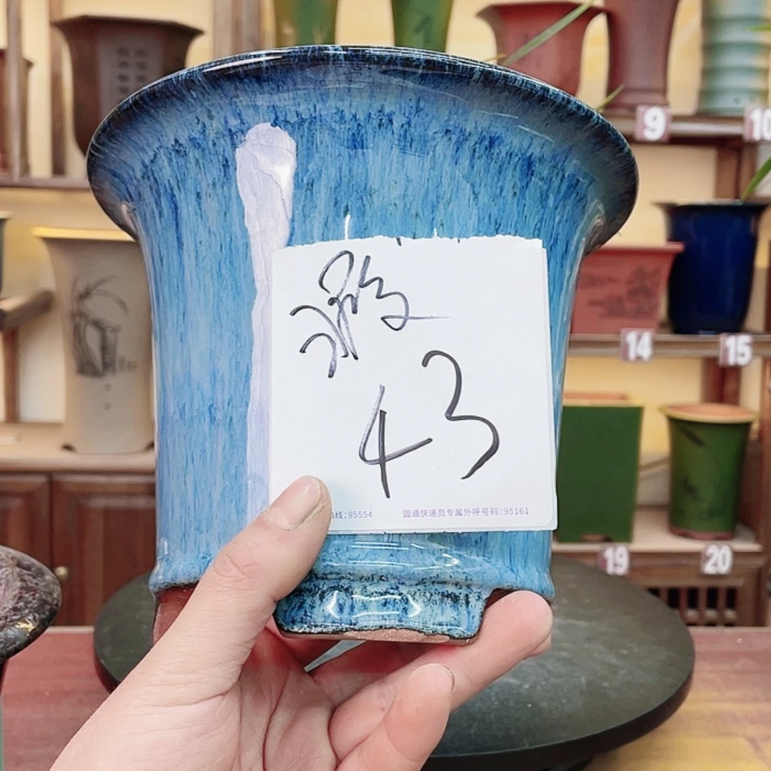 【闪购商品】紫砂花盆a*宝兰花755585477558855886