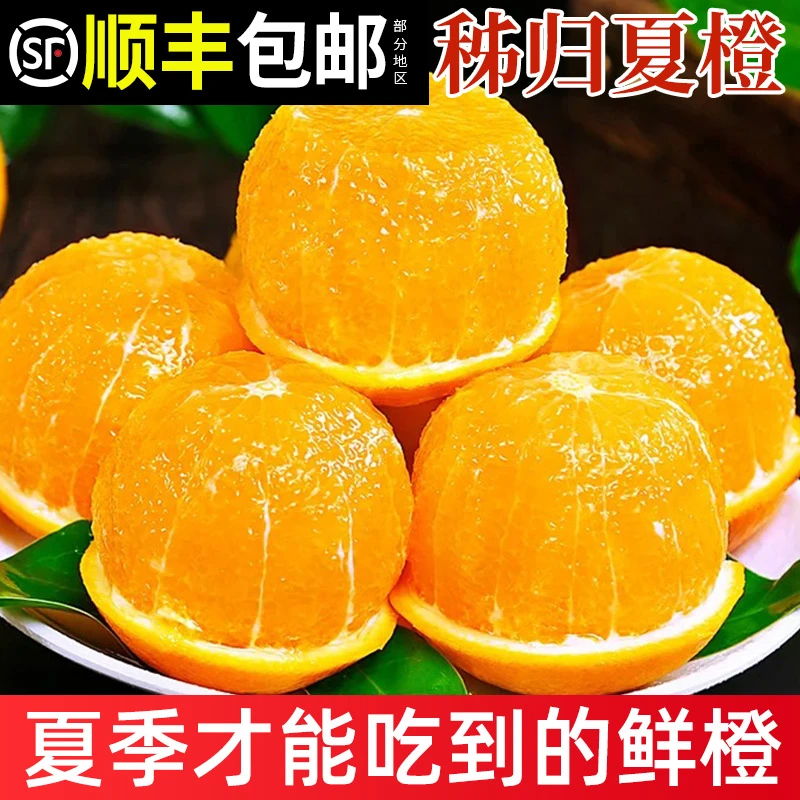 新鲜夏橙顺丰包邮水果当季新鲜水果农家自种榨汁专用湖北秭归橙子
