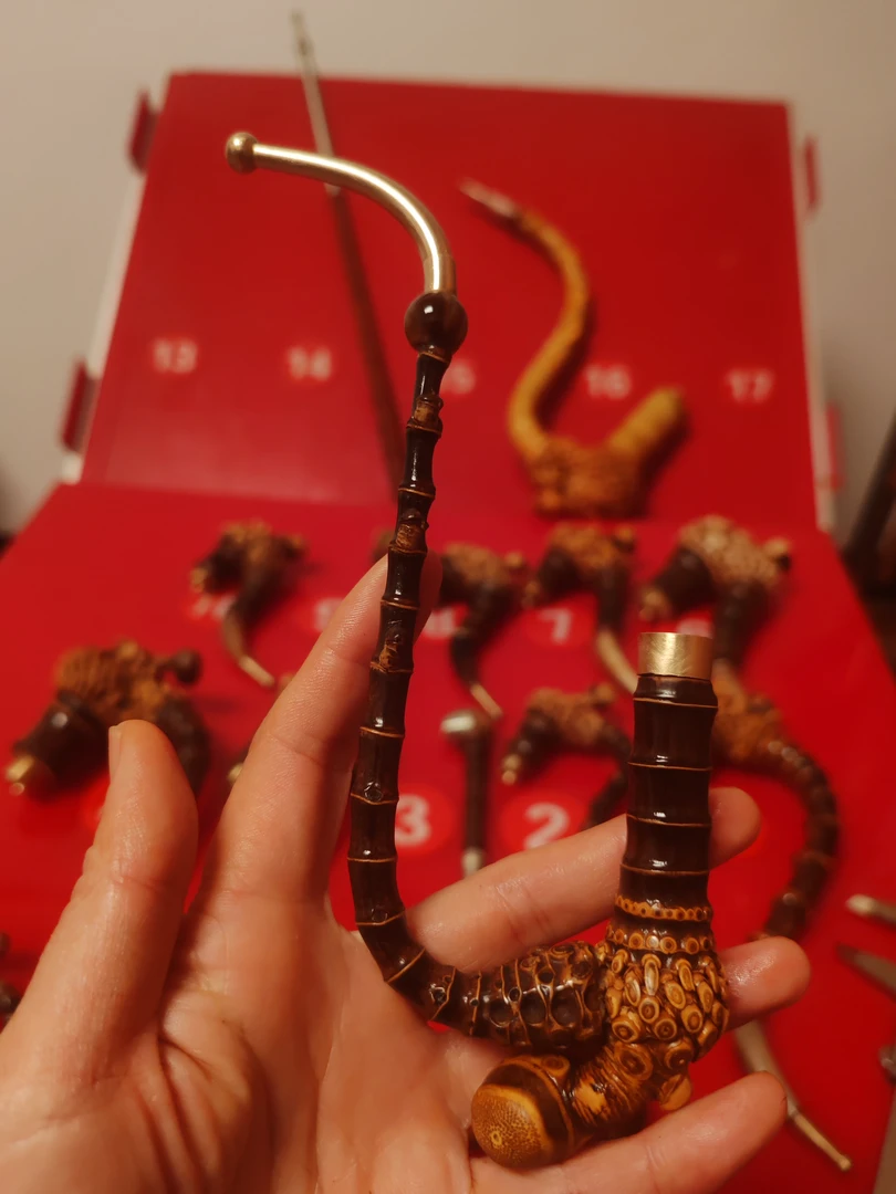 黑竹蚂蚁上树小一弯