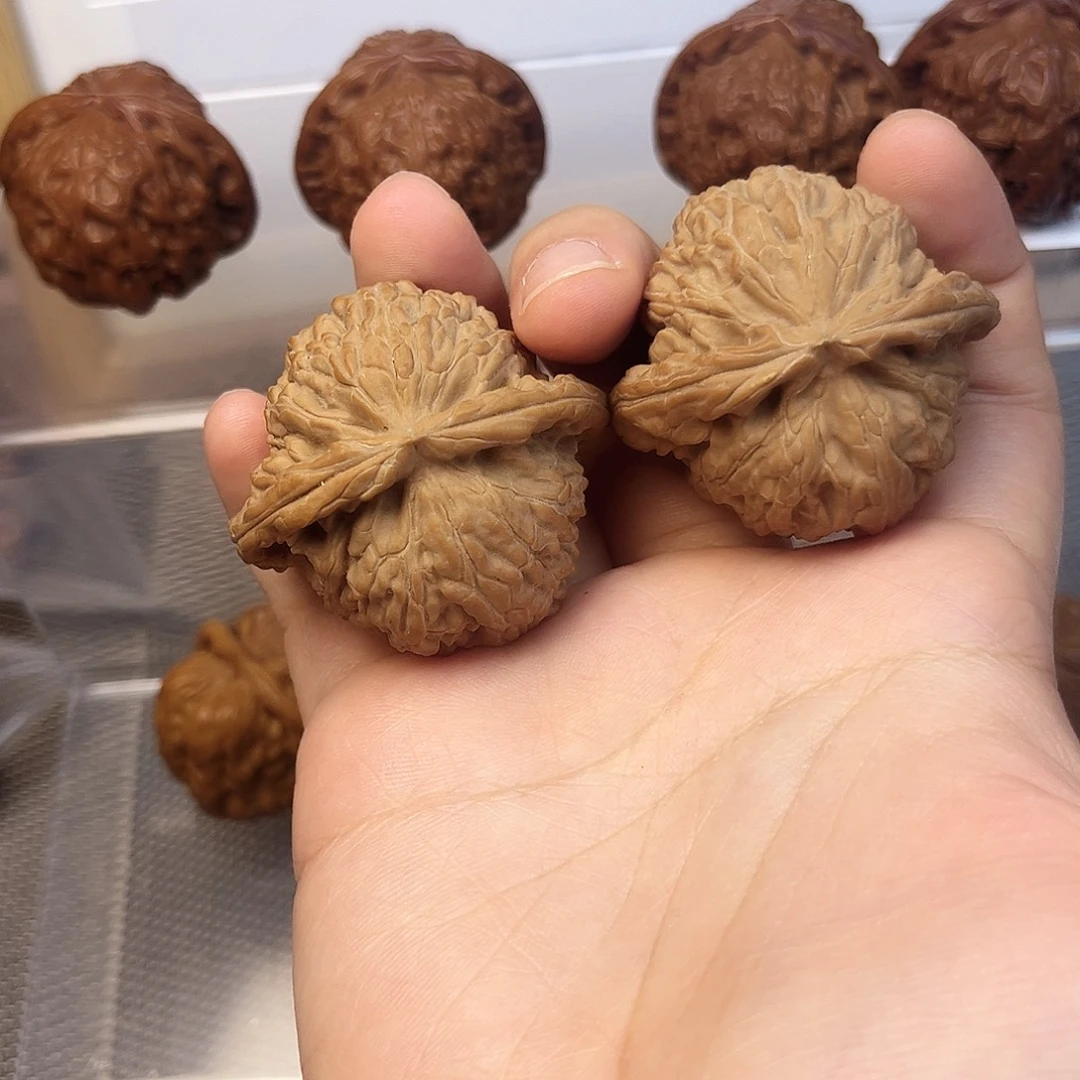 把件文玩核桃43尺白狮子