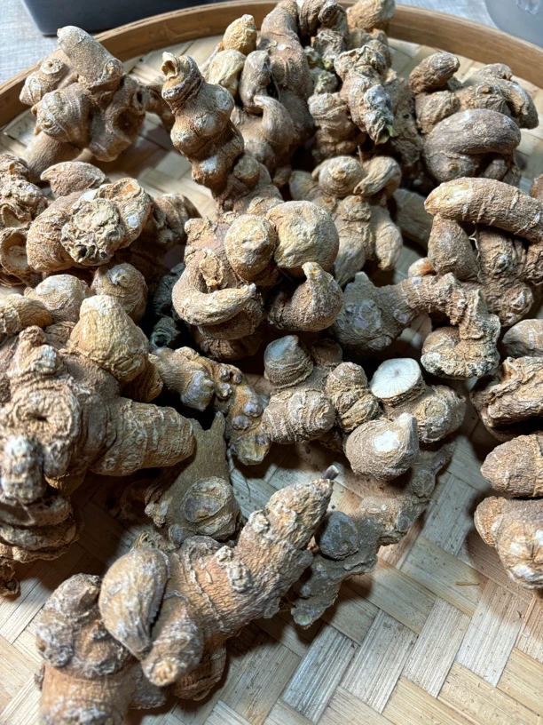 兴能收山货 天王菇