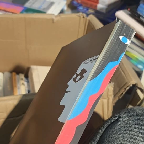 天才在左，疯子在右正版刷边没书衣（务必塑封）