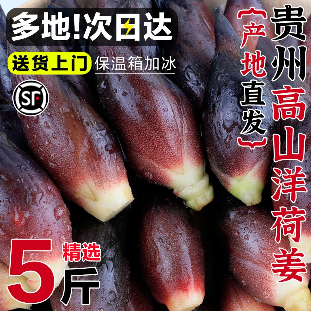 贵州新鲜阳荷洋荷姜现摘5斤装当季时令野菜洋霍保温箱加冰袋保鲜
