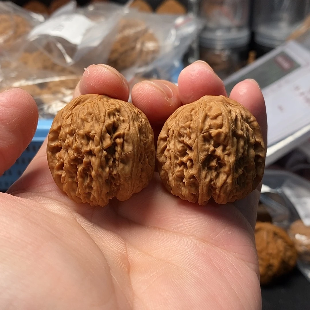 1文玩核桃龙王胆35-353