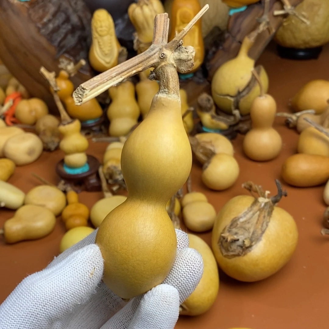 诸***意路途教练咯教练咯教练