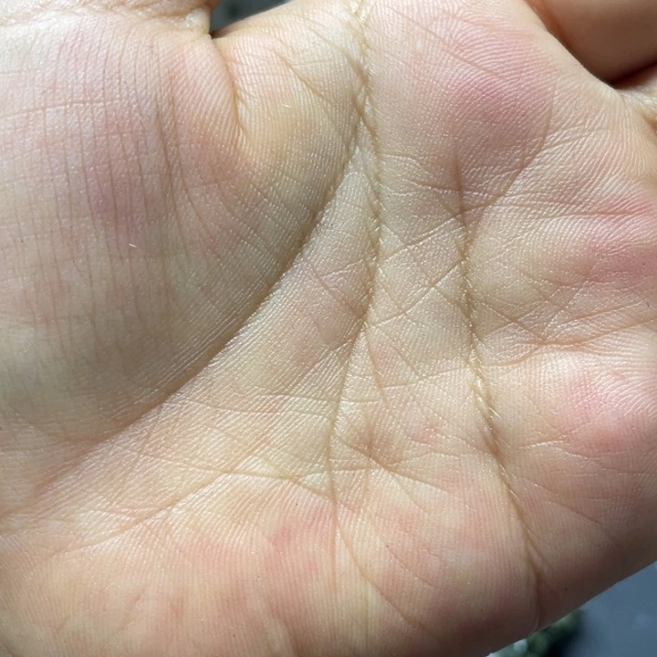 马岛油胆未镶嵌水晶