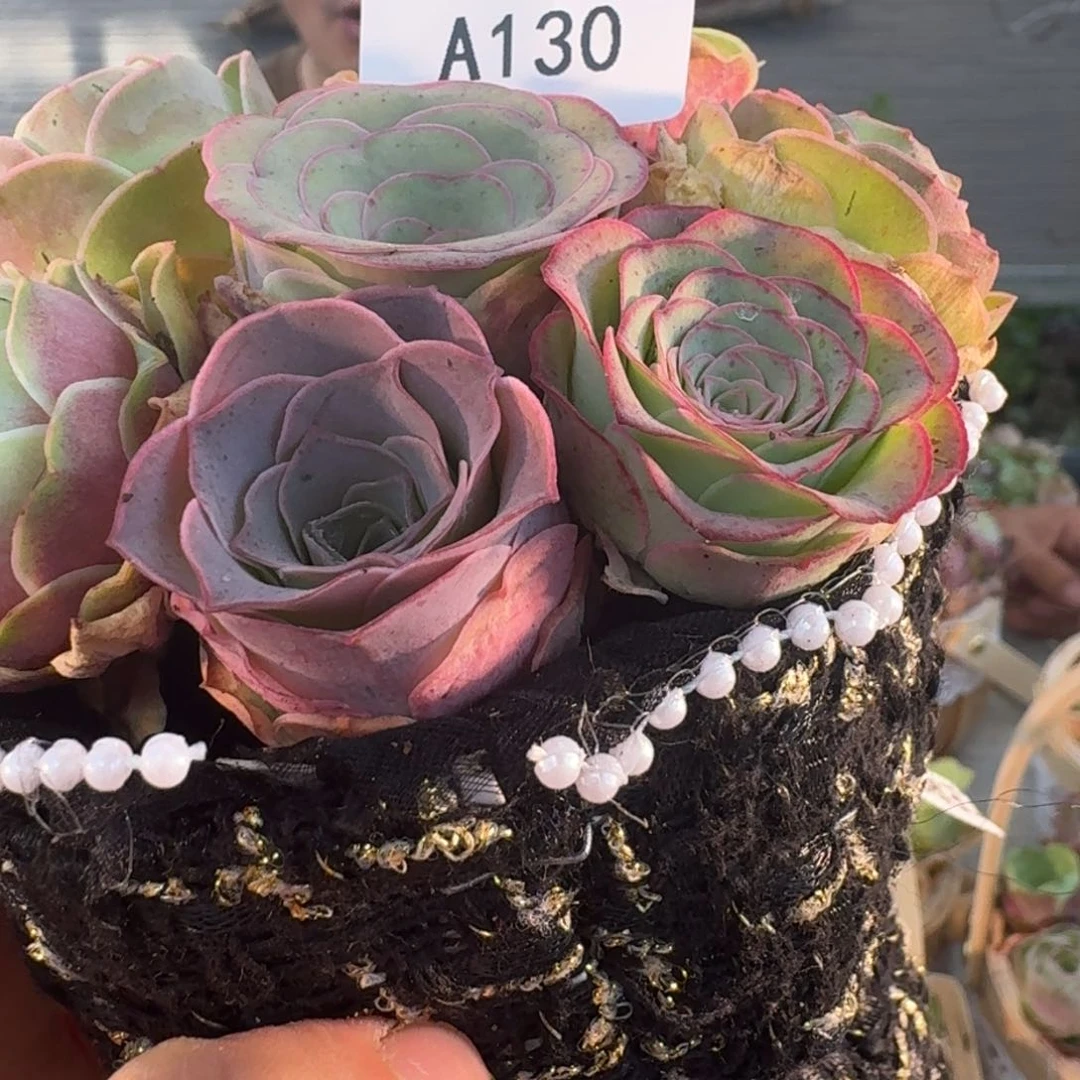 A130 小香风花束