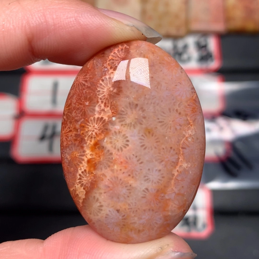 【闪购商品】硅化玉颈饰未镶嵌?*宝