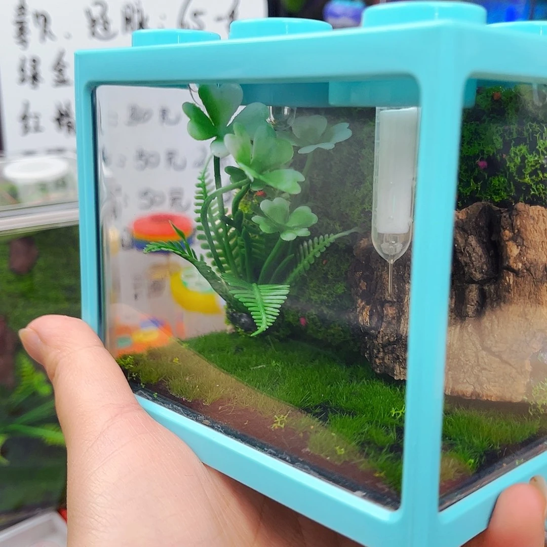 拍拍积木箱送竹铃