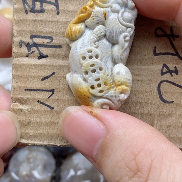 颈饰未镶嵌硅化珊瑚（珊瑚玉）い****°