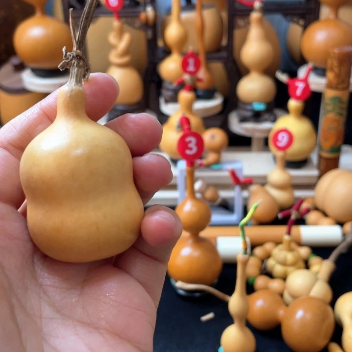 咋*了葫芦岛市……哈尔滨一天吃