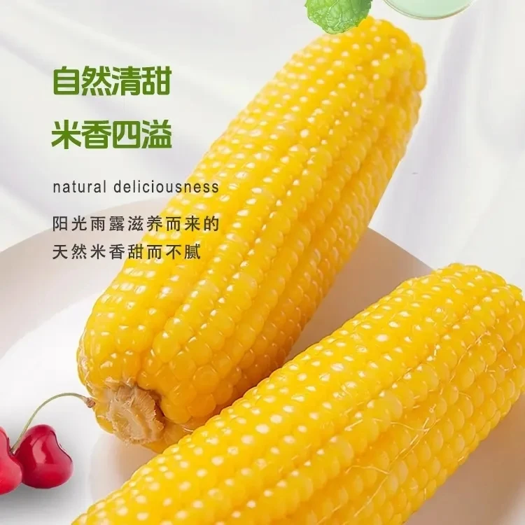 （小蛟带专属）正宗东北黏玉米源于黑土地软糯又香甜