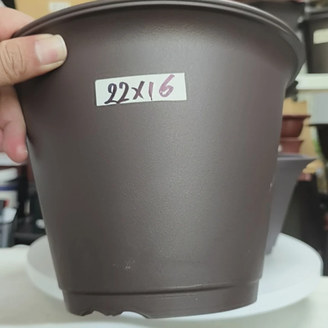 22×16双盆沿圆盆咖6只