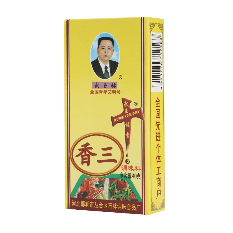 武玉林调味料十三香40克家用盒装用于炒菜烹饪调饺子馅用提鲜增香