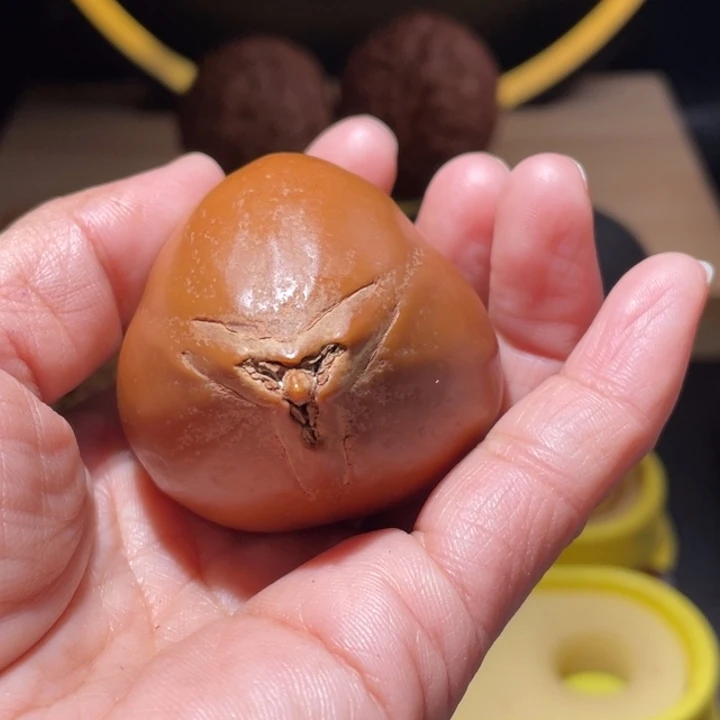 桃核把件橄榄核单只