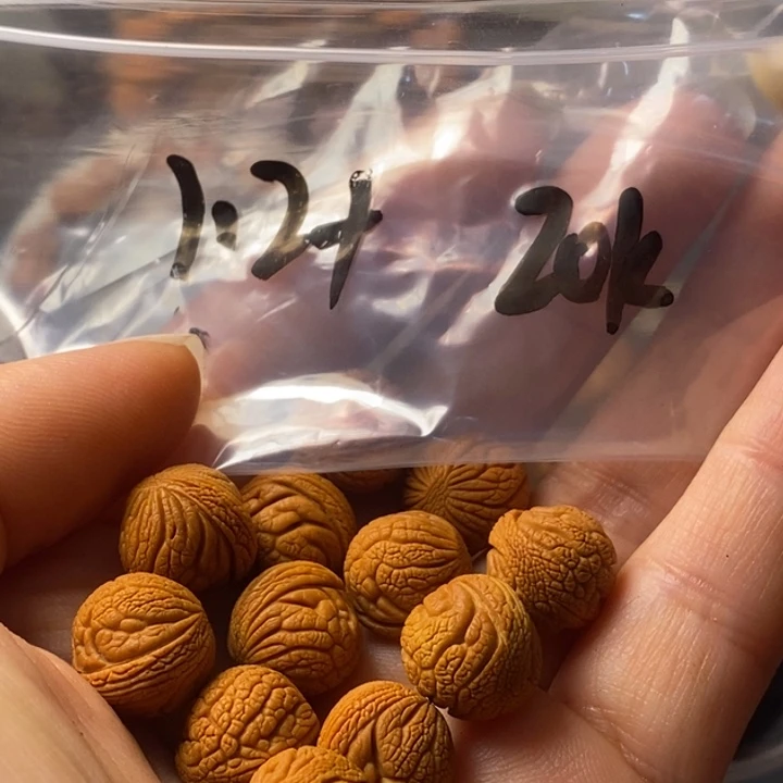 文玩核桃手串秦岭野生龙纹桃核12