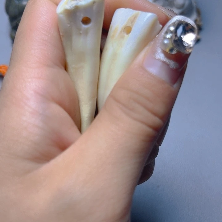 大果紫檀（缅甸花梨）