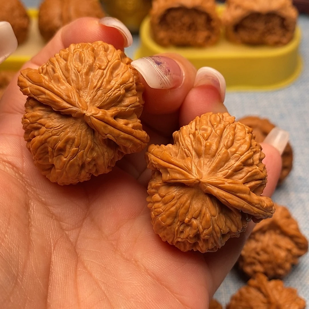 把件文玩核桃毕业白狮子38.8尺全品