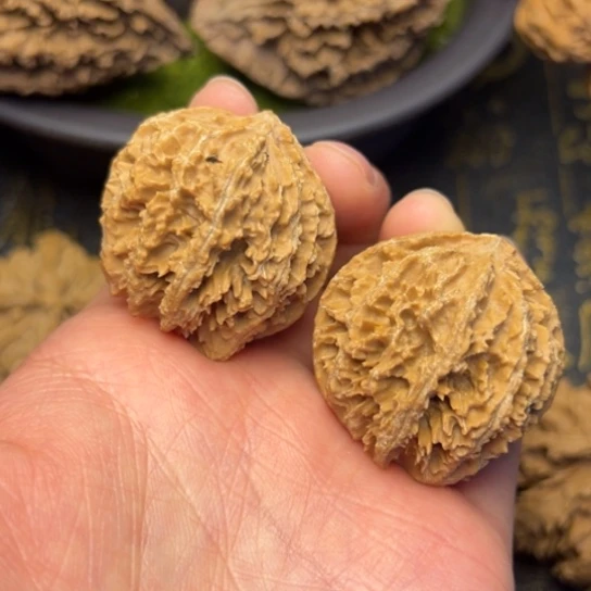 文玩核桃把件秦岭核桃22