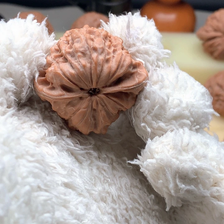 把件文玩核桃龙首蛙