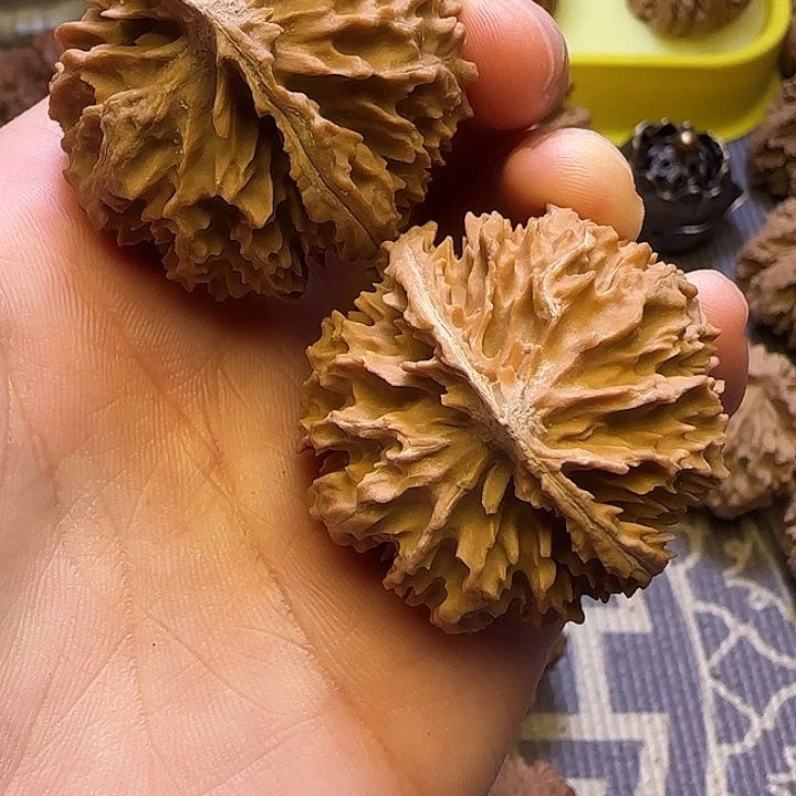 文玩核桃把件菊花19